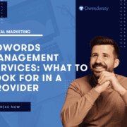AdWords Management Services: What to Look for in a Provider